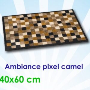 ambiance pixel camel