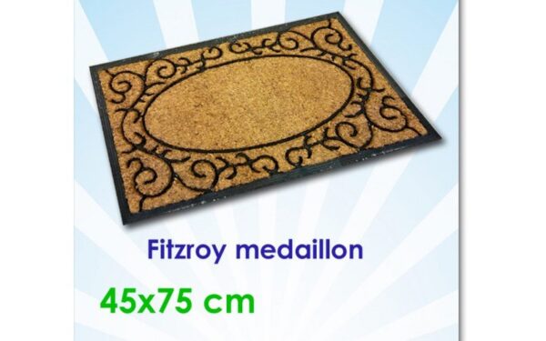 fitzroy_medaillon_1729