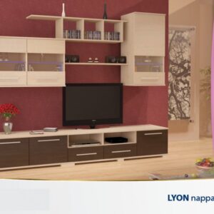 Lion 250 szekrénysor