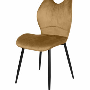 Kinga szék (dny-szek)